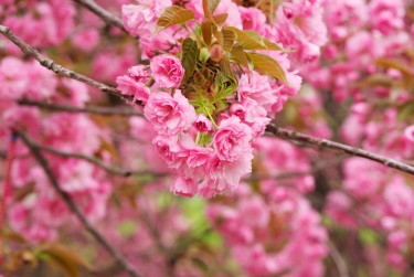 湖州吴兴区3线下个人借款平台一站式服务，轻松解决资金难题