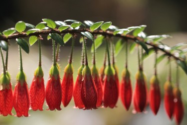 湖州吴兴区3零用贷短借：轻松解决临时资金需求