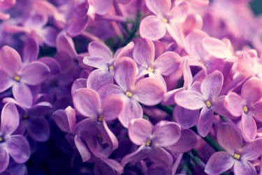 湖州吴兴区3企业急用钱贷款攻略：快速融资解燃眉之急